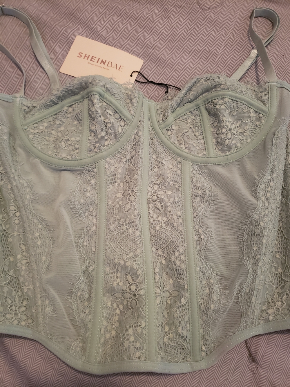 SHEIN Bae Mint Lace Corset Bustier Top